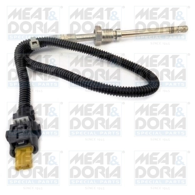 Sensor, exhaust gas temperature